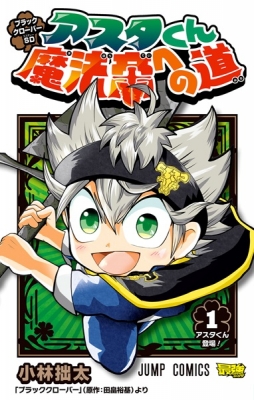 Asta's Journey to Wizard King