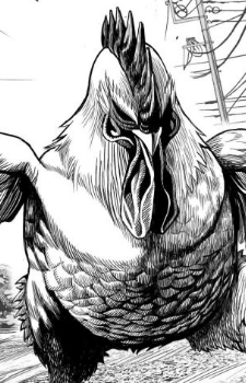 What the Cluck Is the Rooster Fighter Manga?